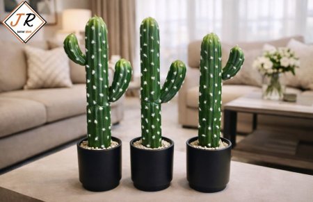 طقم صبار ثلث قطع